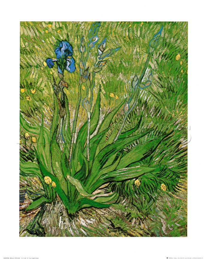 The Iris - Van Gogh Painting On Canvas